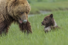 Don't Stick Your Tongue At Me