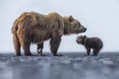 Looking Up To Mom