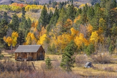 Fall Colors at the Cabin