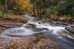 Flowing Fall Colors