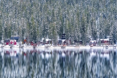 Winter Reflection