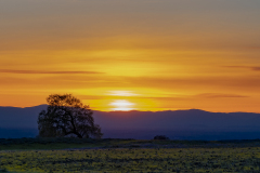 Table Mountain Sunset