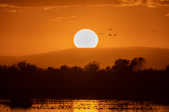 Sunset at Gray Lodge