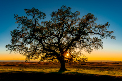 Table Mountain Sunset
