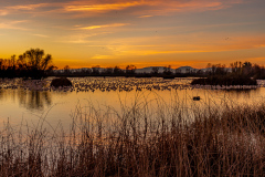 Taking in a sunset at Gray Lodge
