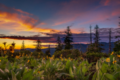 Sunset at Snowflower