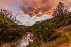 Along the Yuba