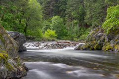 Whispering Flow on the North Yuba